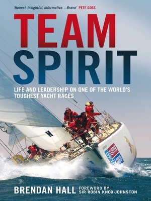 cover image of Team Spirit